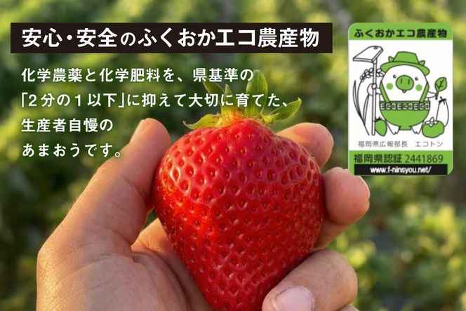 いちご あまおう 先行予約 約250g × 2P 3月上旬 5月中旬 【2027年発送】 [一千也フーズ 福岡県 宇美町 um40azp140006] 苺 イチゴ フルーツ ストロベリー 甘い あまい 季節限定 期間限定 2027