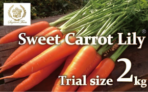 メディア出演多数！！ 【期間限定】 （ お試し ） 鈴盛農園の甘～いにんじん 『スウィートキャロットリリィ』 2kg 人参 甘い ご家庭用 ジュース サラダ スムージー ジューシー 安心 試用 自慢 H022-016