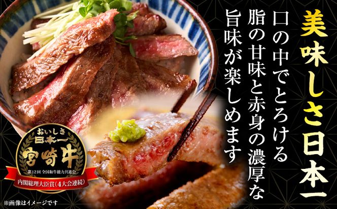 【畜産農家応援】宮崎牛 ロースステーキ 2枚 合計500g