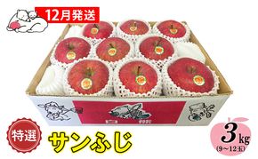 【12月発送】白熊 特選 サンふじ 絆 約3kg 糖度13度【青森りんご 果物 フルーツ 食後 デザート シャキシャキ ジューシー りんごの王様 】