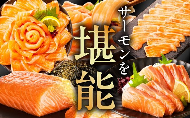 020C301 アトランティックサーモン 1.2kg（200g×6）訳あり サイズ不揃い