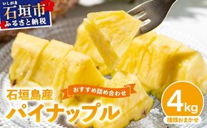 旬の美味しいパイン！美味しさはそのまま！ 見た目により訳ありでご提供 【訳あり】 石垣島産パイナップル 約4kg (3～10個 ) 《2026年4月下旬発送》【ふるさと納税 パイナップル 産地直送 フルーツ 果物 パイン 石垣 沖縄 沖縄県石垣市 石垣島】 KP-15