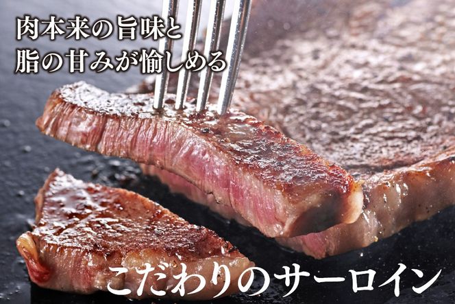 佐賀牛 サーロインステーキ 200g×2枚(合計400g)【A4～A5ランク】【ステーキ 希少 国産和牛 牛肉 肉 牛】(H085211)