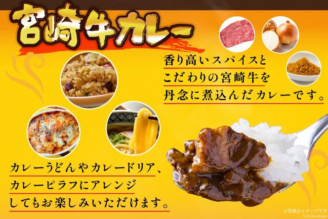 カレー レトルト 宮崎牛カレー 160g×12食 [九州産商 宮崎県 日向市 452061047] 詰め合わせ 小分け ビーフカレー 宮崎 牛 常備食 保存食 中辛 宮崎牛 防災 備蓄