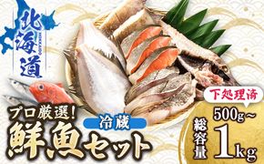 【12/21まで年内お届け】プロ厳選 北海道産 天然 鮮魚セット ＜冷蔵＞ 500g～1kg　鮮魚ボックス 詰め合わせ 刺身 下処理 切り身 料理に 人気 ヒロセ 産地直送 魚介 海鮮 年内配送 年内発送 北海道 釧路町 釧路超 特産品　121-1262-142-001
