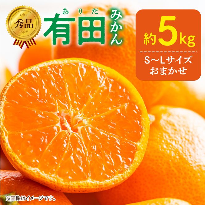 【2026年11月発送】秀品 有田みかん 和歌山県産 S～Lサイズ 大きさお任せ 約5kg_DZ6013n_11
