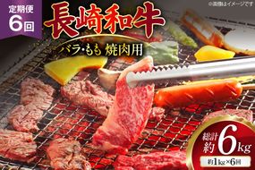 AJ572 【6回定期便】長崎和牛 焼肉セット 計約1kg バラ 霜降り(500g)・もも(500g) [ 肉 牛肉 和牛 高級 おいしい ステーキ肉 まるしん商会 黒牛 長崎県 島原市 ]