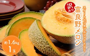 【2026年夏発送】※訳あり 富良野産 メロン 2Lサイズ 約1.6kg【1玉】フルーツ 果物