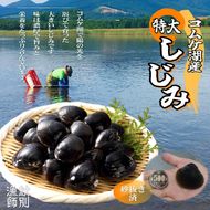 19-42 【紋別市コムケ湖産】 手獲り特大しじみ　600g