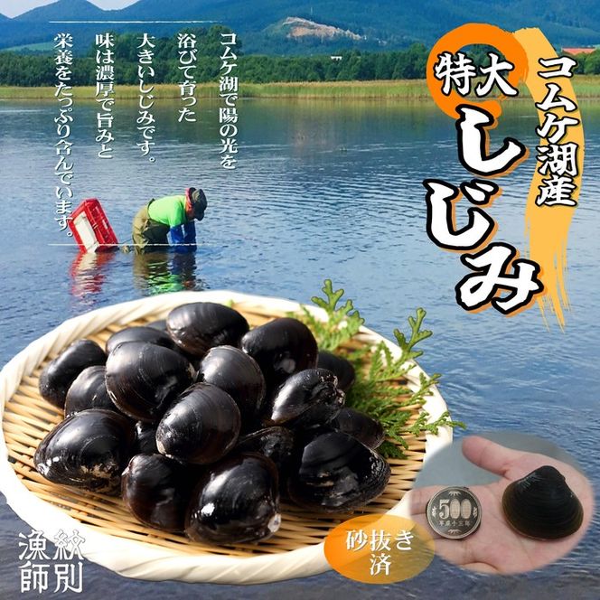 19-42 【紋別市コムケ湖産】 手獲り特大しじみ　600g