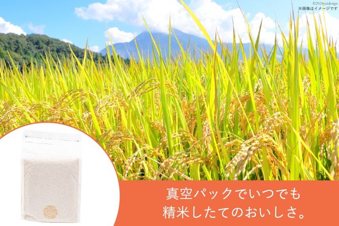 一分づき 玄米 2kg 【真空包装】[お米食堂 富山県 舟橋村 57050239] お米 米 こめ コメ 真空 パック ごはん 備蓄 長期保存