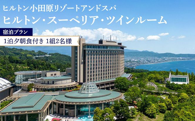 y_ސ쌧cszqgEX[yAEcC[hv@1[Ht1g2lI[Vr[IVR嗁Av[{ݗp܂ށyI[Vr[ tBbglX VR嗁 o[f][ qg _ސ쌧 cs z 142069_BG004