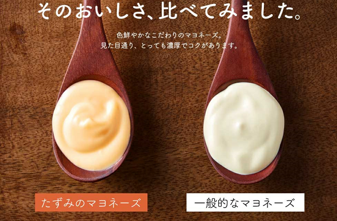 【累計6万本突破！】卵黄で作ったこだわりのマヨネーズ10本 015AC01N.／ママのこだわり卵 大容量 栄養満点 調味料 お料理 安心 安全 健康 玉子 サラダ ディップ ポテトサラダ