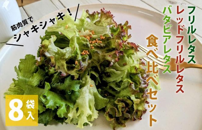 099H2937 【栽培期間中農薬不使用】フリルレタス／レッドフリルレタス／バタビアレタス 食べ比べセット（8袋入り）