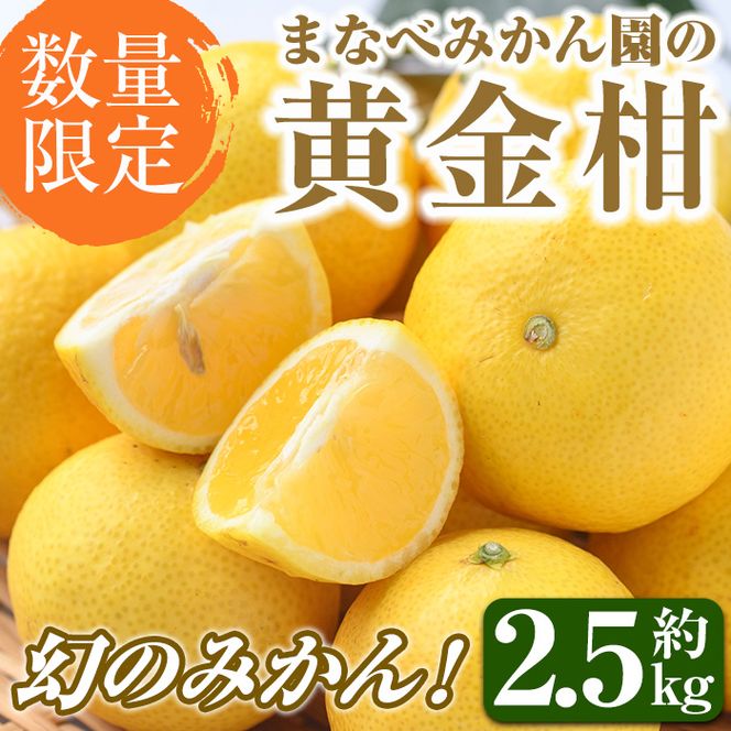 ＜先行予約受付中！2027年2月上旬以降順次発送予定＞まなべみかん園の黄金柑(約2.5kg) 国産 鹿児島県産 阿久根市産 柑橘類 果物 フルーツ みかん ミカン 蜜柑 期間限定 数量限定 贈答用 ギフト プレゼント デザート 【有限会社まなべみかん園】akn034-01