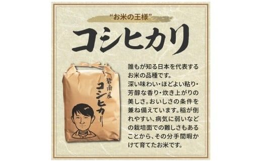 〈数量限定〉【幻の潮かぶり米】令和7年産新米 あいちのかおり&コシヒカリ＆ミルキークイーン 3品種 食べ比べ 9kg（3kg×3袋） 令和７年度産 新米 米 コメ 新米 あいち 愛知 かおり コシヒカリ こしひかり ミルキー 数量限定 H073-010