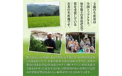 煎茶 茶葉 奥八女星野村 伝統 本玉露 50g [ベネフィス 福岡県 宇美町 um40azp190008] お茶 緑茶 日本茶 玉露 本玉露 八女茶