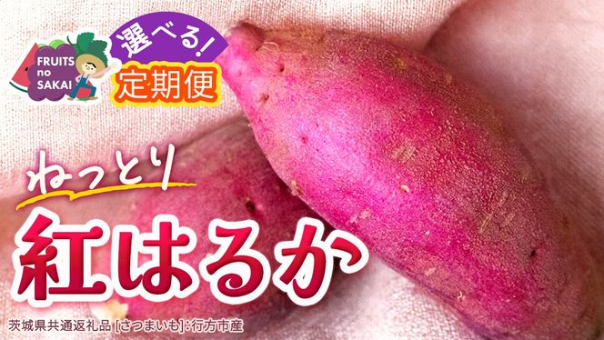 ＼選べる発送方法／ 紅はるか 約 2.5kg （茨城県共通返礼品 [さつまいも]：行方市産） 単品（1回）・定期便（3回 / 6回） べにはるか さつまいも 生芋 芋 サツマイモ 甘い 焼き芋 スイートポテト ねっとり 茨城県産 お取り寄せ 野菜 根菜 いも