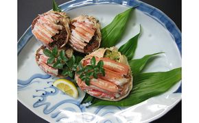 松葉蟹ほぐし身（活き蟹600～750g使用）とコッペガニ（小サイズ)ほぐし身セット 松葉ガニ カニ 