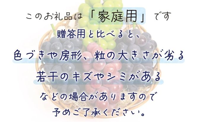 【2026年の先行予約】岡山　花笑み農園のブドウ『食べ比べ４種セット』シャイン入り2kg家庭用 4M-2家 / ぶどう 詰め合わせ 食べ比べ シャインマスカット 岡山 真庭市 【hana087-01】