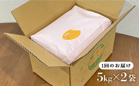 【全12回定期便】いとし米 厳選ひのひかり 10kg×12回(糸島産) 糸島市 / 三島商店[AIM052] 白米米 白米お米 白米ご飯 白米ひのひかり 白米ヒノヒカリ 白米九州 白米福岡 白米5キロ 白米ギフト 白米贈り物 白米贈答 白米お祝い 白米お返し 白米定期便