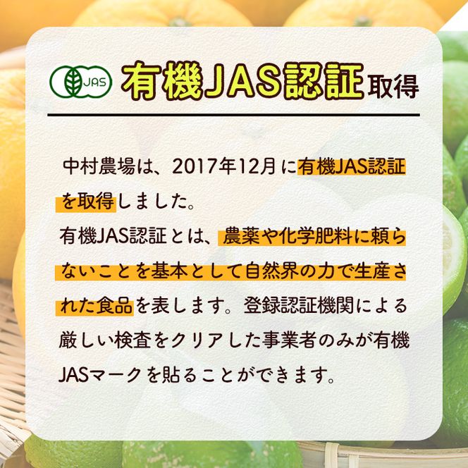 数量限定！有機JAS 木成り甘夏(約10kg) 国産 果実 果物 フルーツ 柑橘 デザート きなり 木なり あまなつ みかん ミカン 蜜柑 期間限定 有機栽培 【中村農場】akn084-10