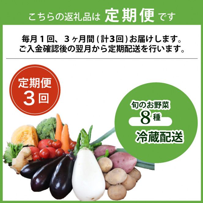 旬のお野菜詰め合わせ 京野菜セット 8種類　全3回