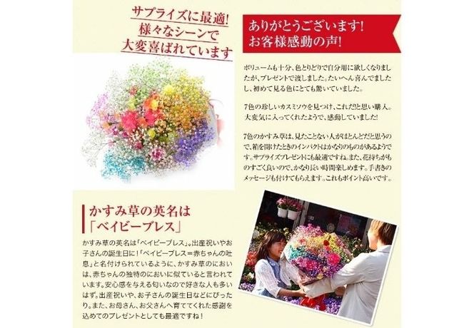 ふわふわブーケ ｜ 生花 花 ギフト ロマンチックかすみ草 七色 輝く カスミソウ カスミ草 かすみそう お祝い プレゼント カラフル 花束 おしゃれ