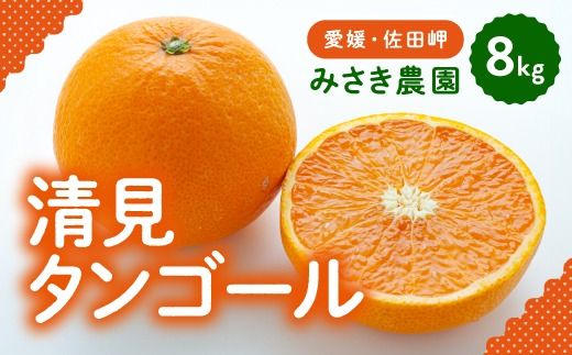 清見タンゴール 8kg ｜ 柑橘 みかん ミカン 蜜柑 mikan 産地直送 果物 フルーツ 愛媛県 伊方町　※北海道、沖縄・離島への配送不可　※2025年3月中旬頃から順次発送予定