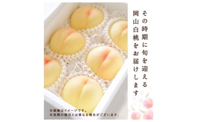 桃 2026年 先行予約 白桃 8玉(2kg以上)等級：ロイヤル 化粧箱入り もも モモ 岡山県産 国産 フルーツ 果物 セット ギフト