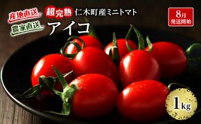8月発送開始[2026年発送] 超完熟ミニトマト【 アイコ 】1kg 栽培期間中 農薬・除草剤不使用 サイズ混載 トマト ミニトマト 野菜 北海道 仁木町 [アイコファーム] 