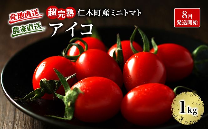 8月発送開始[2026年発送] 超完熟ミニトマト【 アイコ 】1kg 栽培期間中 農薬・除草剤不使用 サイズ混載 トマト ミニトマト 野菜 北海道 仁木町 [アイコファーム] 