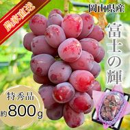 ぶどう 2026年 先行予約 話題の品種 富士の輝 1房詰め 特秀ランク 800g以上 特秀 葡萄 岡山県産 国産 フルーツ 果物 ギフト 【 Nini farm 農家 直送 】