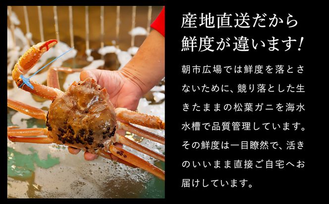 【訳あり】タグつき 活松葉ガニ１kg前後