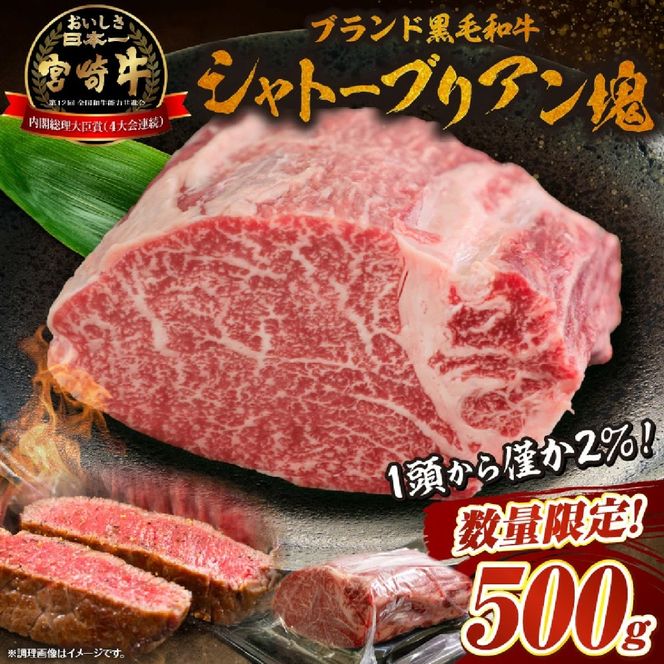 【数量限定】宮崎牛シャトーブリアン塊 500g　（宮崎牛 黒毛和牛 和牛 シャトーブリアン ）