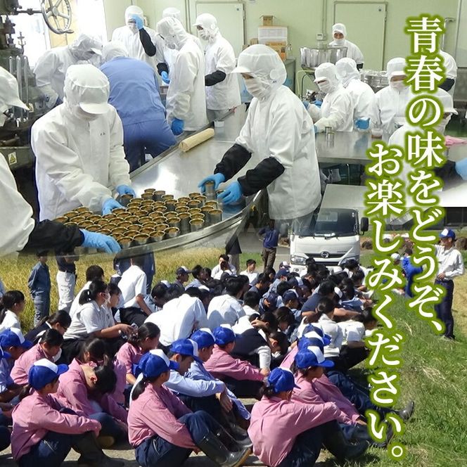 鶴翔高校「3年A組の」豚味噌仕込(100g×12缶) 豚みそ ぶたみそ 大容量 鹿児島県産 阿久根市 国産 九州産 特産品 みそ 調味料 調理 料理 ごはん おかず 常温保存【公益財団法人阿久根市美しい海のまちづくり公社】akn032-01