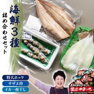 【ふるさと納税】京都 ・ 天橋立 海鮮3種詰め合わせセット 特大ホッケ サザエ串 イカ一夜干し 海鮮 魚貝類 魚 サザエ いか イカ ホッケ 一夜干し 干物  myz02 myz11 myz17