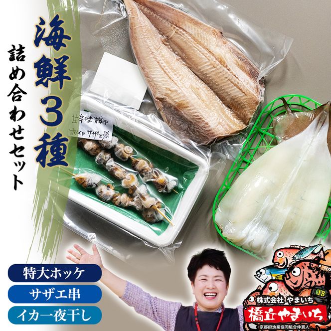【ふるさと納税】京都 ・ 天橋立 海鮮3種詰め合わせセット 特大ホッケ サザエ串 イカ一夜干し 海鮮 魚貝類 魚 サザエ いか イカ ホッケ 一夜干し 干物  myz02 myz11 myz17