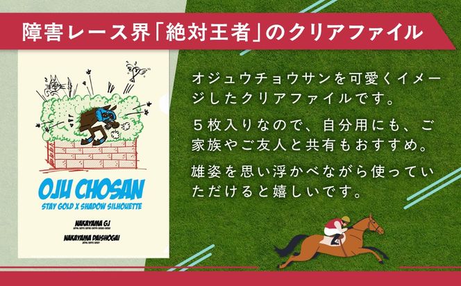 【オジュウチョウサン】タペストリー BRTV016
