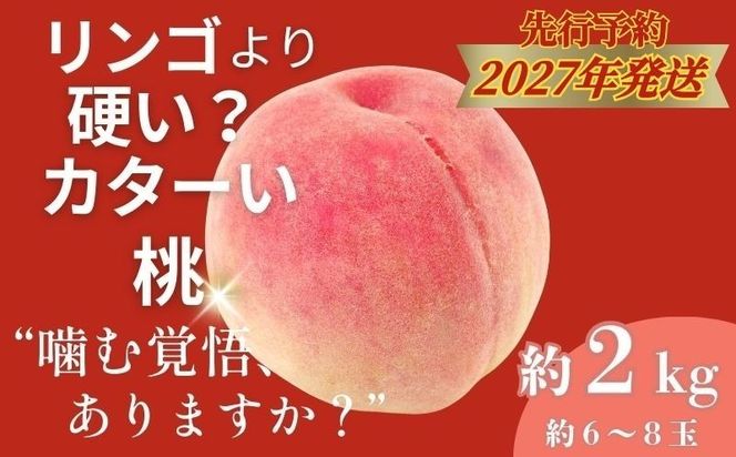 【2027年　先行予約】日本一の産地山梨県産　朝採れカターい桃 約２Kg（5～8玉） FB040