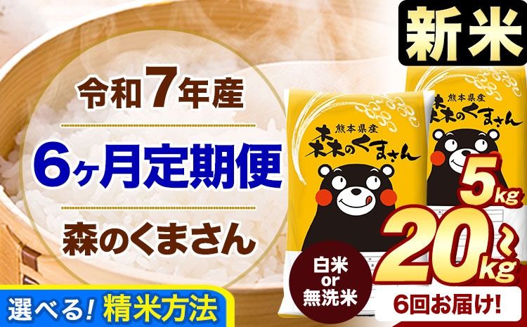 [6ヶ月定期便]新米 令和7年産 白米 無洗米 森のくまさん 5kg 10kg 15kg 20kg[11月から出荷開始] 熊本県産 白米 精米 米 こめ コメ お米 kome---mifune_lcl_407_nov6---