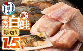 a10-1311　厚切りカット！天然 白鮭 甘口 切身 約1.5kg