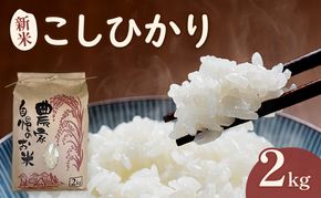 米 こしひかり2キロ(令和8年産) 若狭・天狗山農園 お米 こめ コメ 精米 ご飯 ごはん コシヒカリ 福井県 若狭町