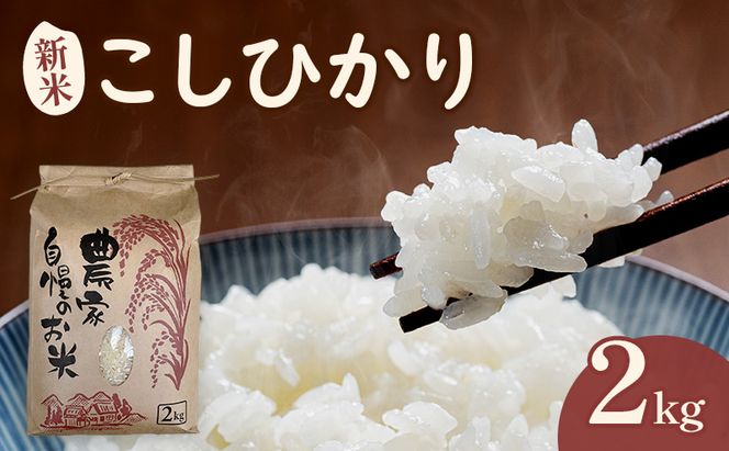 米 こしひかり2キロ(令和8年産) 若狭・天狗山農園 お米 こめ コメ 精米 ご飯 ごはん コシヒカリ 福井県 若狭町