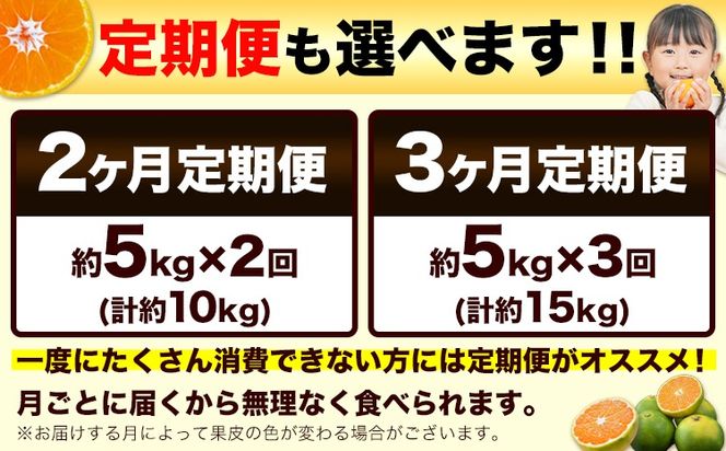 訳あり みかん 小玉みかん 定期便 くまもと小玉みかん 5kg (2.5kg×2箱) 10kg (10kg×1箱) 選べる回数 秋 旬 不揃い 傷 ご家庭用 SDGs 小玉 たっぷり 熊本県 産 S-3Sサイズ フルーツ 旬 柑橘 長洲町 温州みかん《10月から出荷》---fn_nkdmtei_24_10500_5kg_oct2---