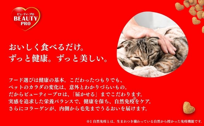 日本ペットフード ビューティープロ キャット 避妊・去勢後用 560g（80g×7袋入）×10袋（ケース） キャットフード