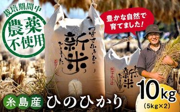 【令和6年産新米】糸島産 雷山 のふもと 栽培期間中 農薬不使用の米 10kg（5kg×2） 【2024年10月下旬以降順次発送】ひのひかり ヒノヒカリ 糸島市 / ツバサファーム[ANI002]