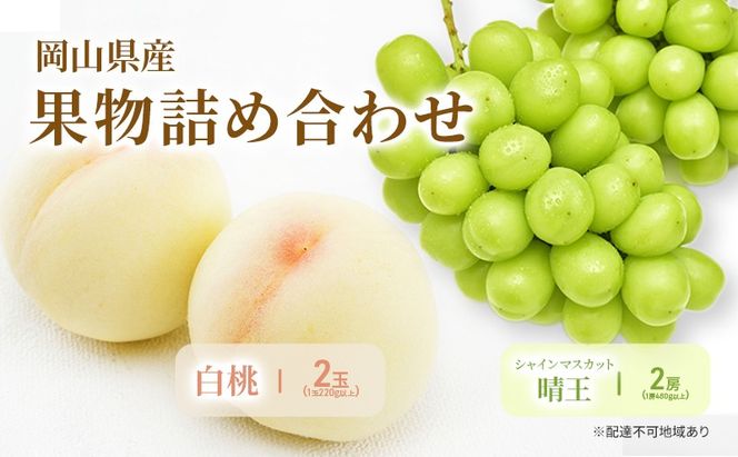 もも ぶどう 2026年 先行予約 詰合/白桃 2玉(1玉220g以上)・シャインマスカット 晴王 2房(1房480g以上) 化粧箱入り 岡山県産 国産 フルーツ 果物 ギフト