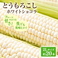 【2026年発送】富良野産 とうもろこし ホワイトコーン 約20本 コーン とうきび トウモロコシ ホワイトショコラ 2Lサイズ 野菜 甘い BBQ 北海道 富良野 ふらの