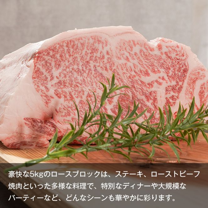 【A5ランク限定】淡路島産黒毛和牛 ロースブロック 5kg【神戸牛】    ブロック